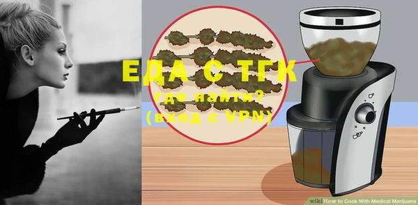 дживик Ельня